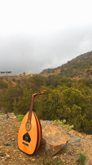 صور العود الموسيقي.