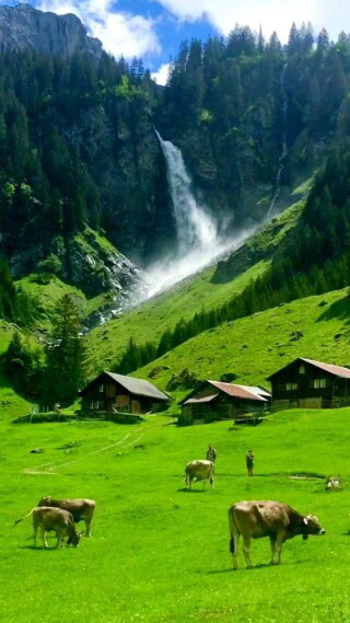 صور مناظر طبيعيه.