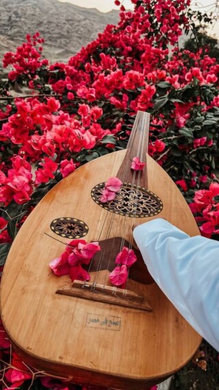 خلفيات عود.