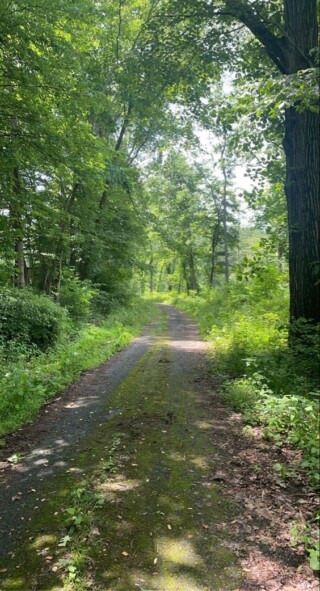 صور مناظر طبيعيه.