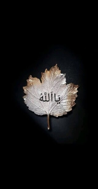 كولكشن خلفيات موبايل.
