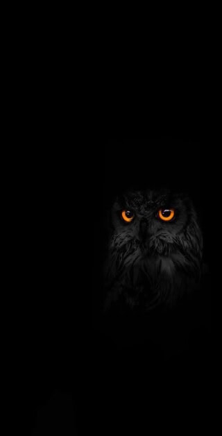 أجمل الخلفيات