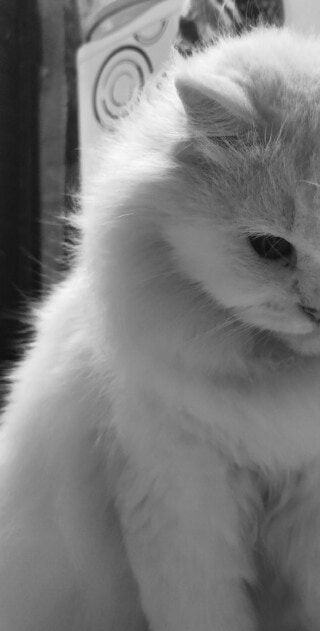 صور هادئة