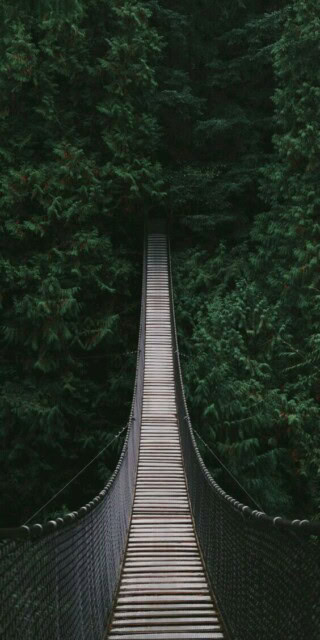 صور حزينة.