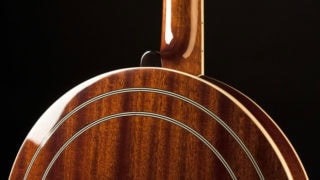recording king elite 76 banjo