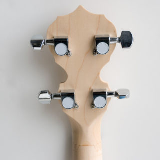goodtime parlor banjo