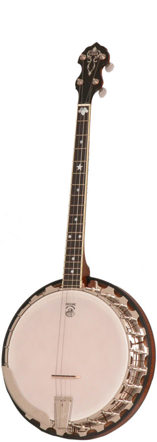 vega professional 19-fret tenor banjo