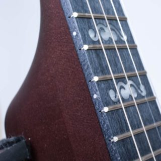 artisan goodtime 17 fret tenor banjo