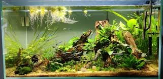 Matching Substrate to Plant Type