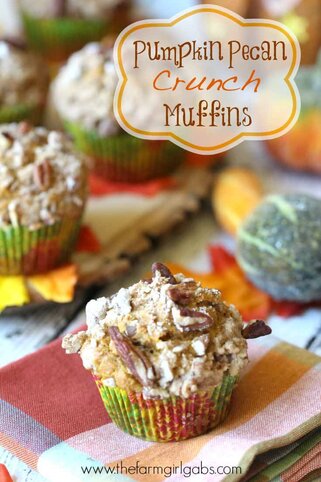 Pumpkin Pecan Crunch Muffins are there perfect snack recipe for anytime of day. Grab one for breakfast, too.