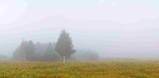 gorizia@news il panorama meteo