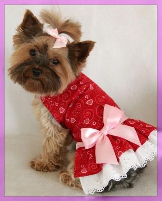 vestidos de mascotas