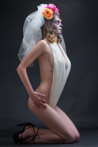 portrait studio sugar skill