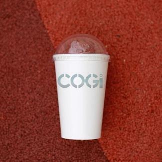 COGI GROUP 1