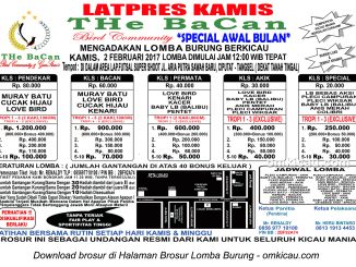 Brosur Latpres Kamis THe BaCan, Tangerang Selatan, 2 Februari 2017