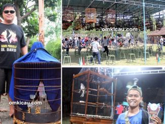 Ingkung Kuali Cup 1