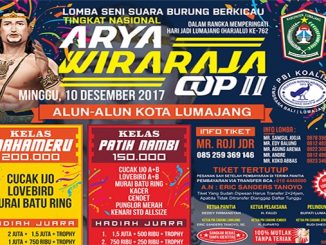 Arya Wiraraja Cup II
