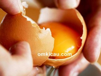 Mengolah kuning telur menjadi tepung untuk pakan burung