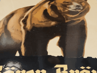 Bären-Bräu Emailschild auf eBay.de