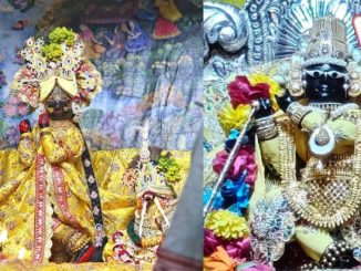 On Basant Panchami, Thakur Ji is adorned in yellow attire
