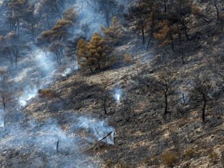 Wildfire rages near Athens for second day, forcing more evacuations