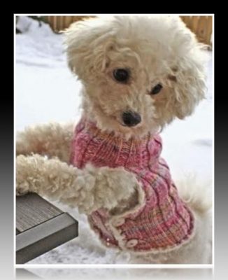 ropa para perros moldes