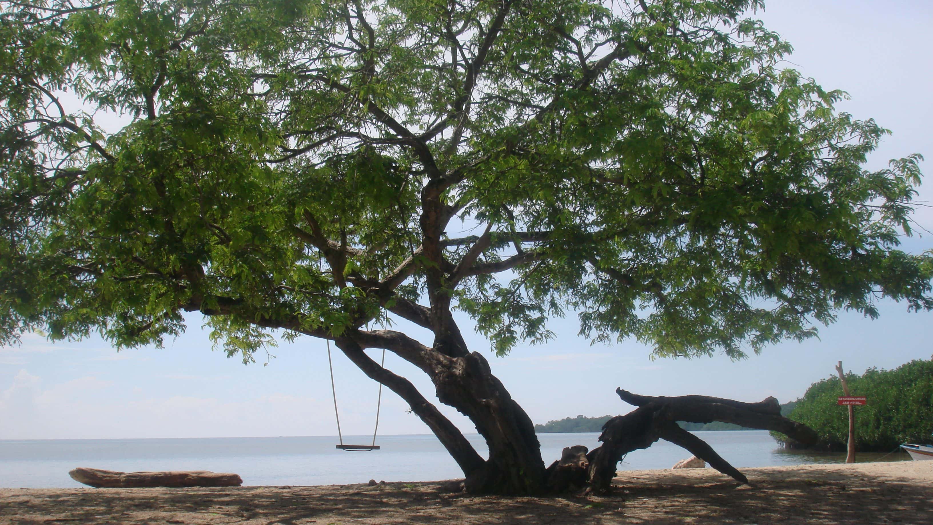 Baluran National Park