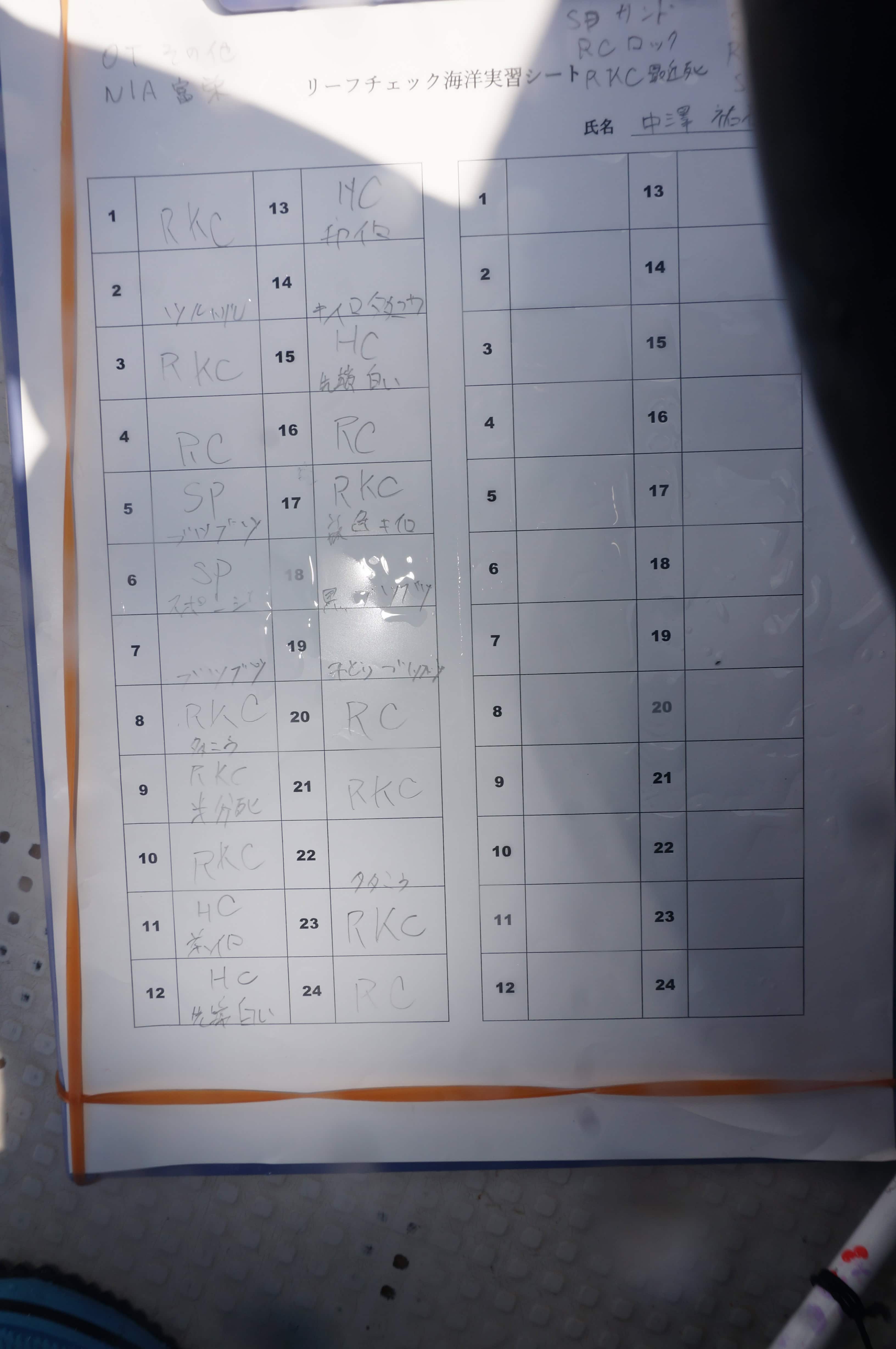 実習報告書