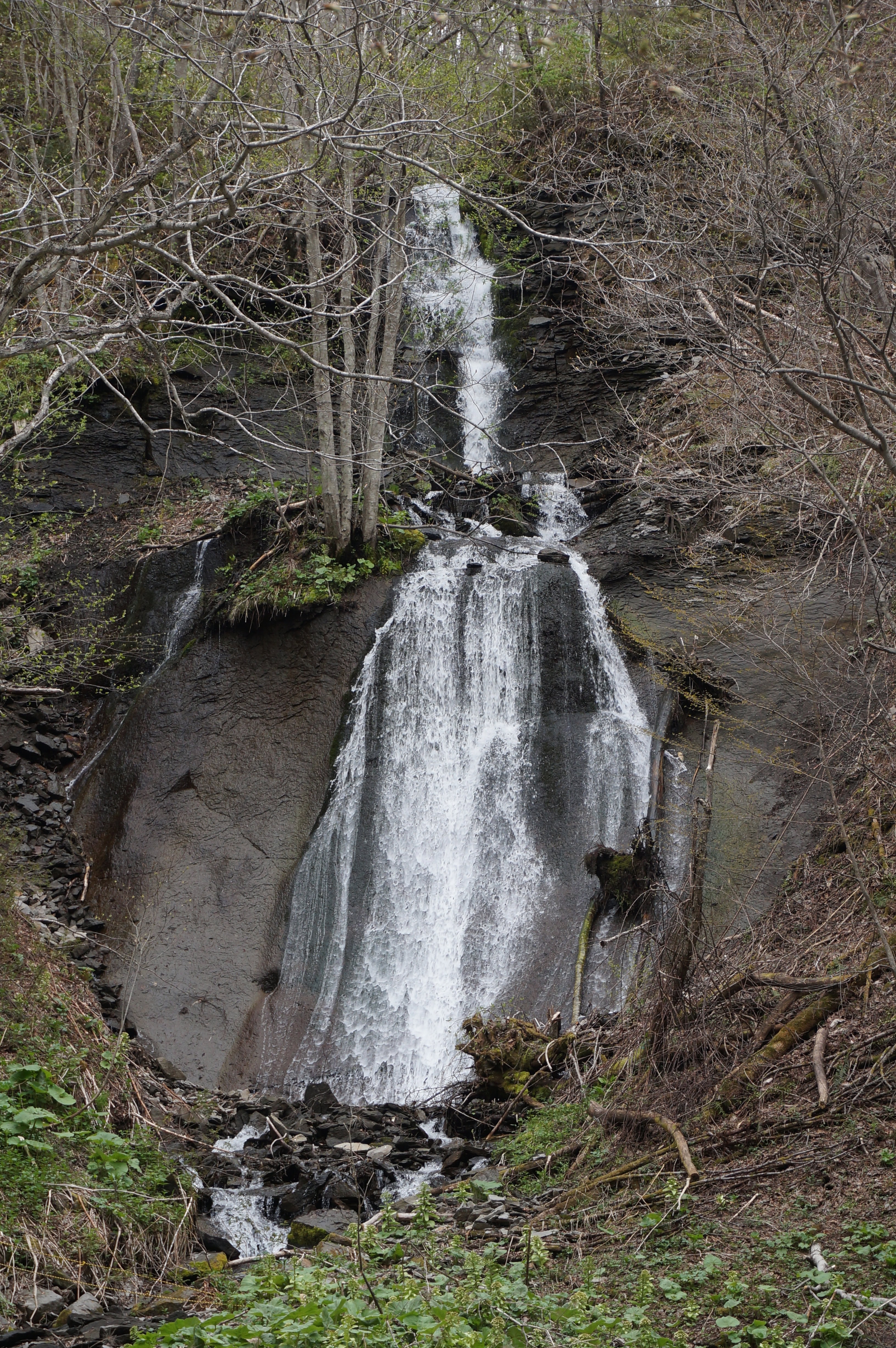 鱒見の滝の上段岩壁アップ