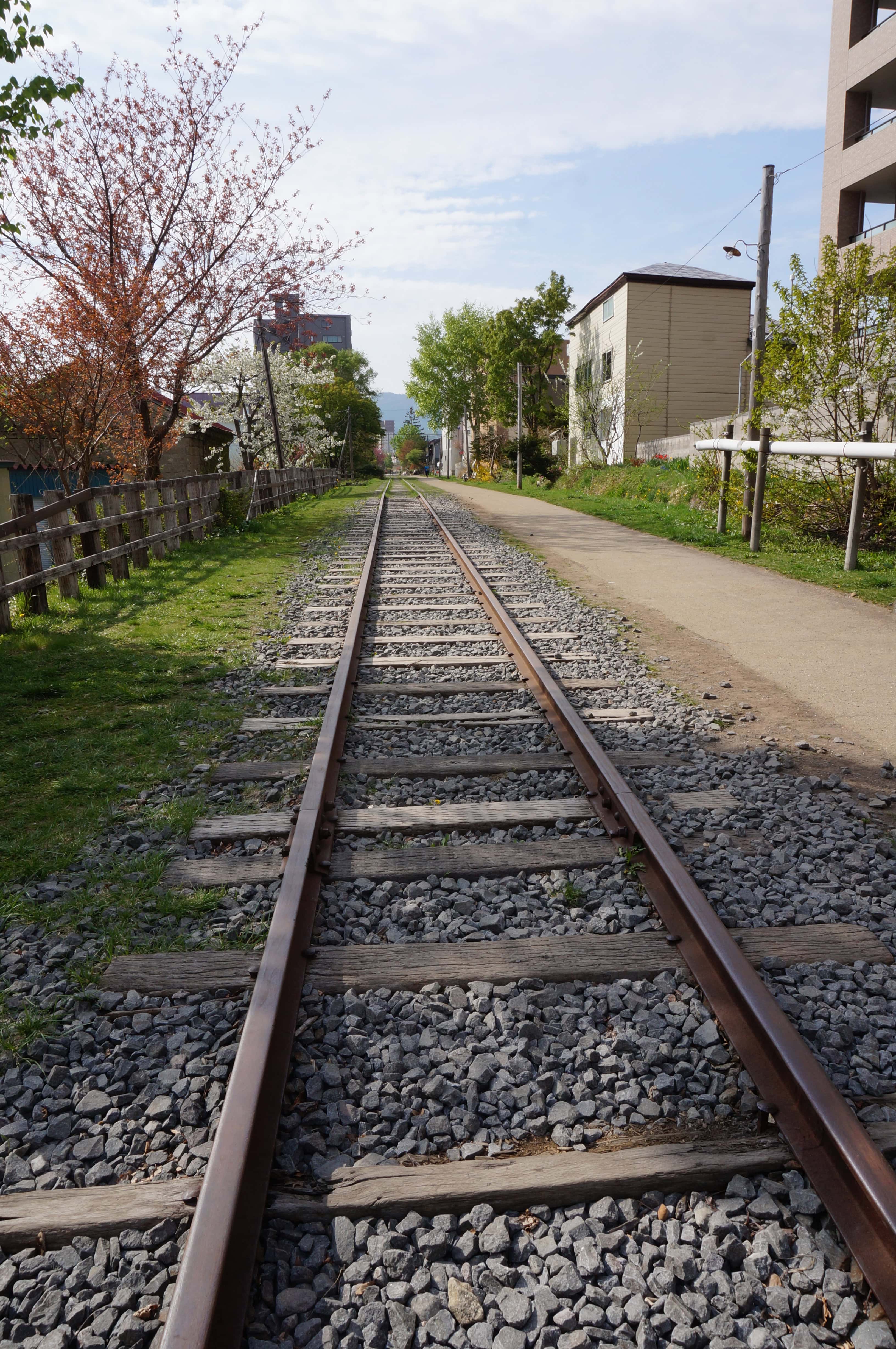 旧手宮線の春の線路（縦構図・引き）