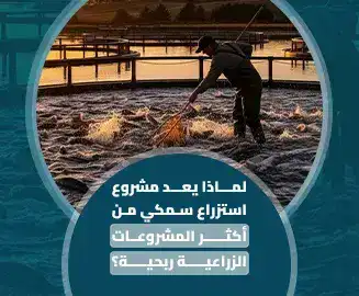 مشروع استزراع سمكي