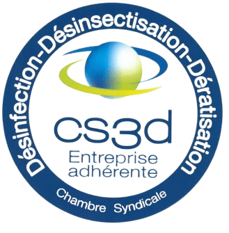 CS3D-removebg-preview