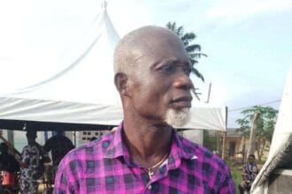 fb img 17319699945484815071868392124001