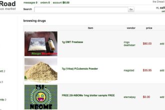 Silk Road – najbardziej znany serwis z Dark Netu