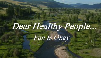 Dear Healthy People - Fun is OK