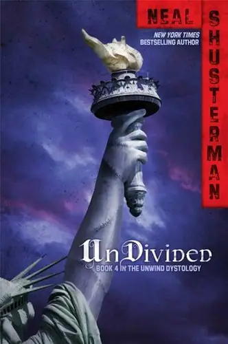 Undivided Book Review: The Hard Work of Racial Solidarity