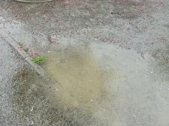 Alerte météo : le préfet de Haute Garonne appelle à la vigilance