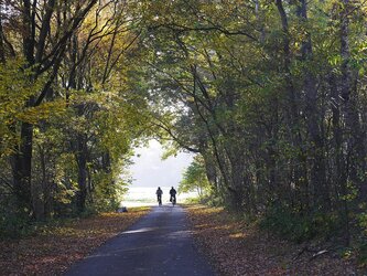 Météo Tarbes. soleil, pluies, nuages et baisse des températures cette semaine