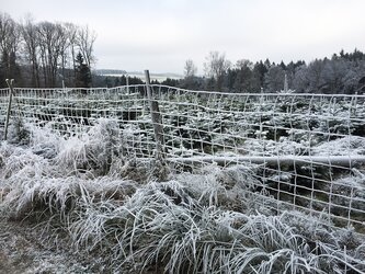 Météo Tarbes. froid intense et givre ce jeudi