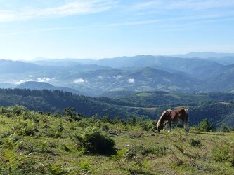 Tremblement de terre vendredi matin dans les Pyrénées