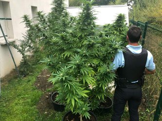 Tournay, embrouille autour d'un deal de drogue, 3 arrestations