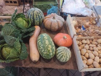 Tarbes. le marché Marcadieu déplacé pour cause de fête Sainte Thérèse