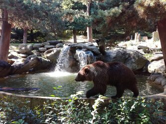 Ouverture partielle pour le Parc animalier d'Argelès Gazost