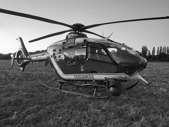 Disparue, une personne retrouvée inconsciente dans un fossé près de Toulouse