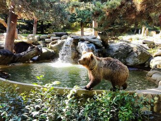 Argelès Gazost, réouverture du Parc Animalier ce week end