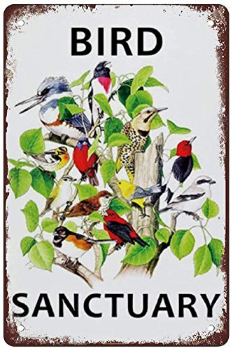 Ideas Bird Sanctuary