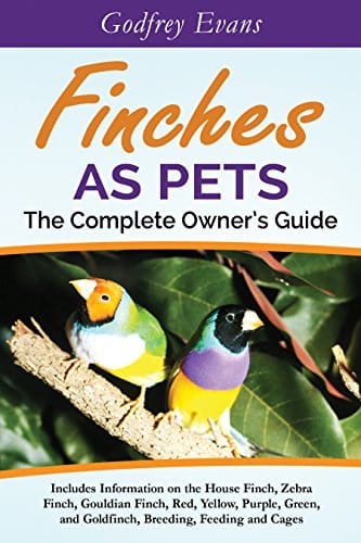 What Do Finches Eat in the Wild