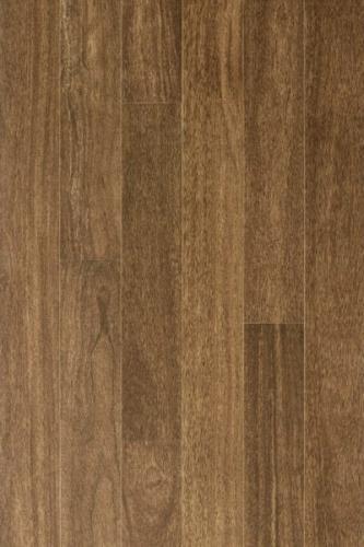 67 Brazilian Chestnut