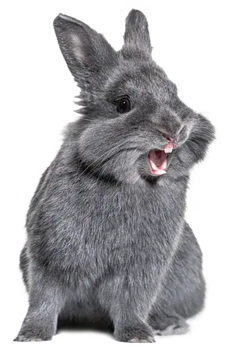 本当にスゴイ