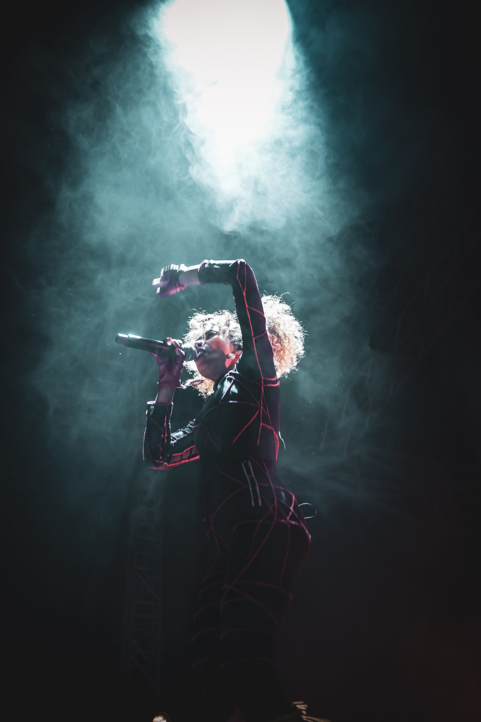 Photographe Festival Ecaussysteme